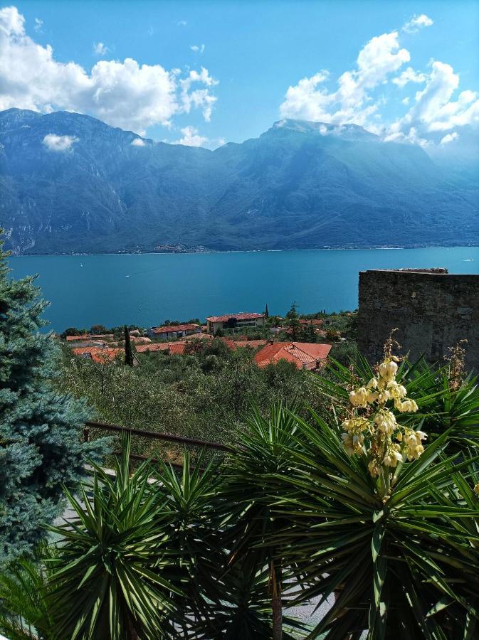 Villa Fior Di Loto Limone sul Garda Extérieur photo