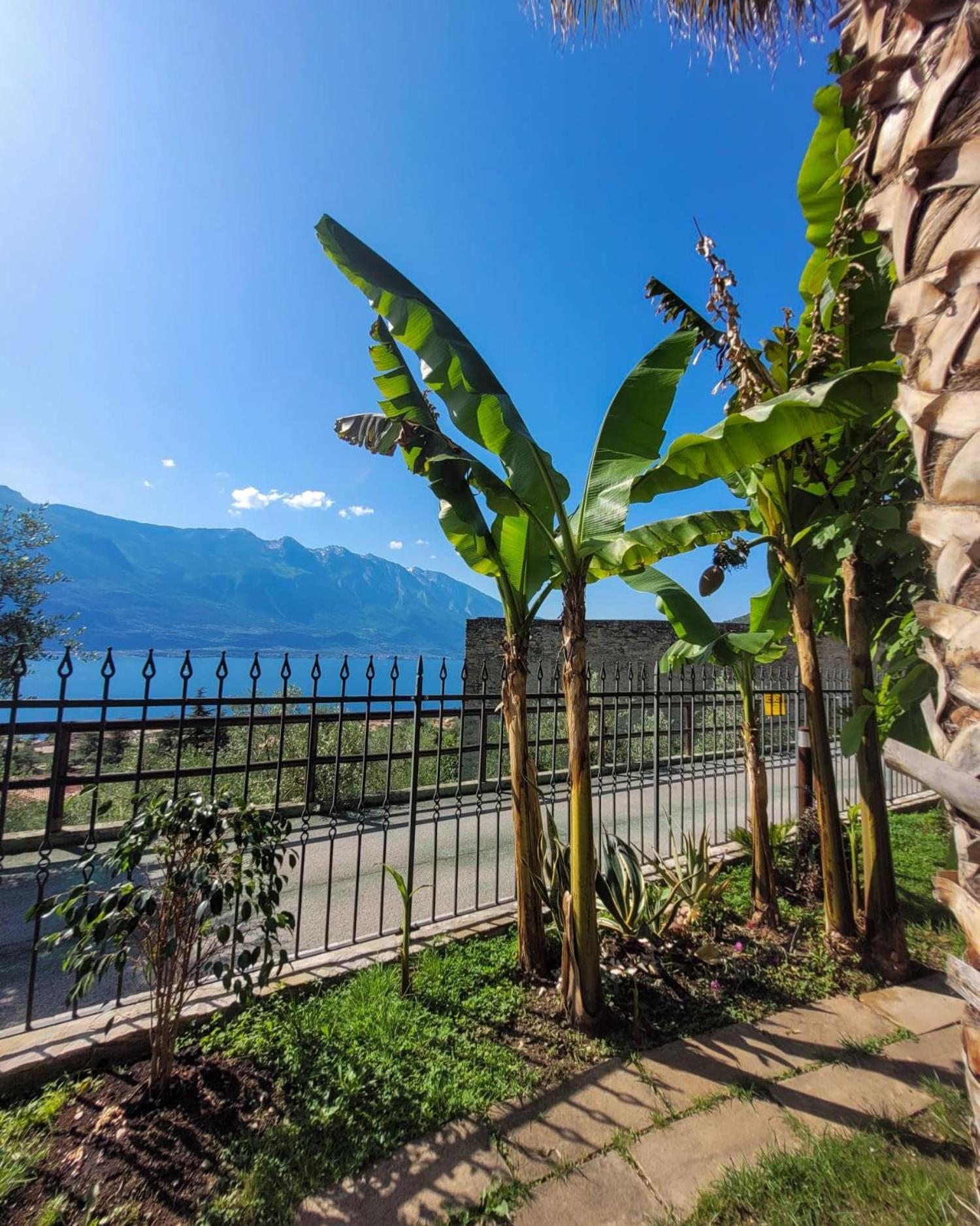 Villa Fior Di Loto Limone sul Garda Extérieur photo