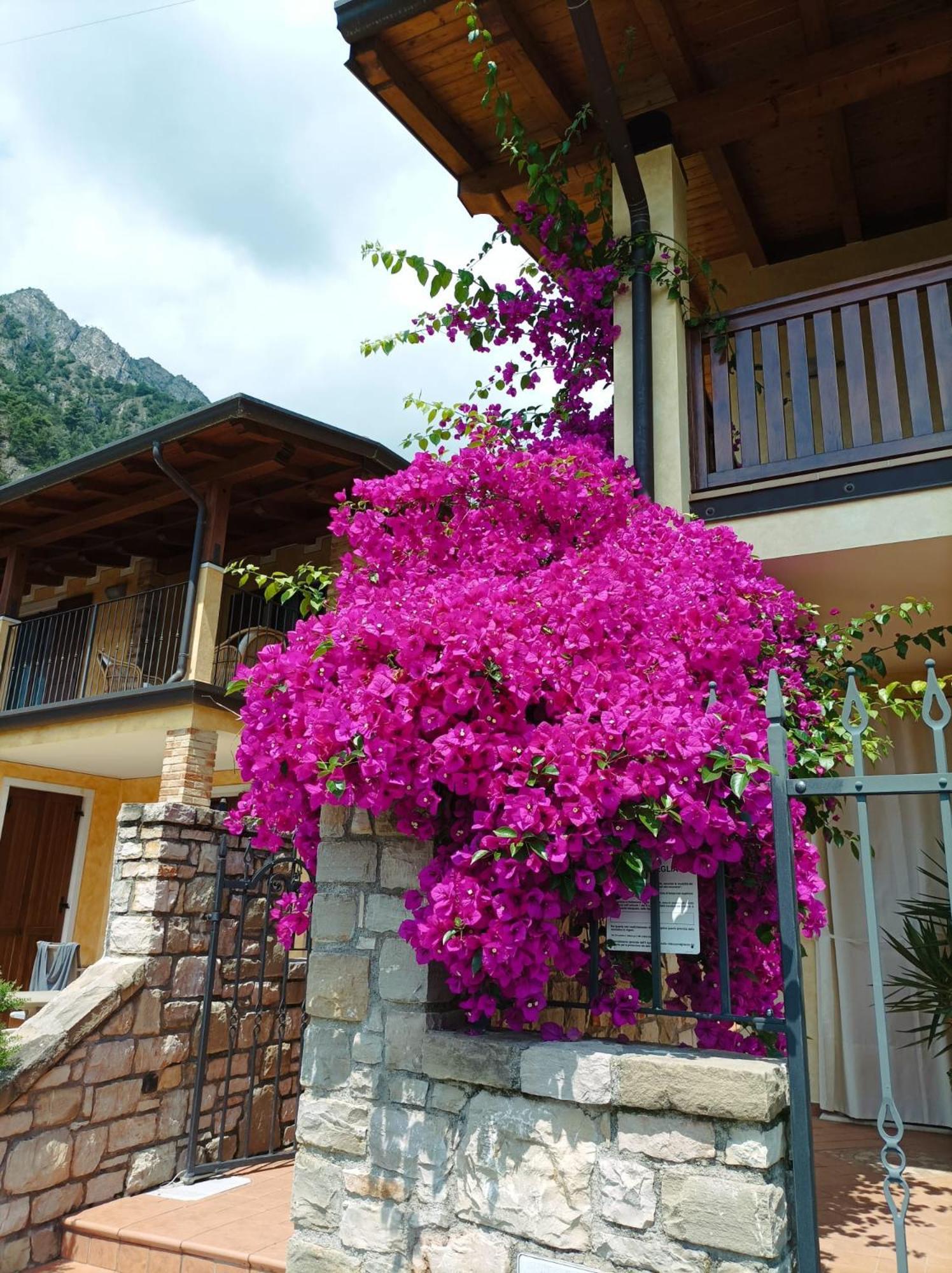 Villa Fior Di Loto Limone sul Garda Extérieur photo